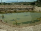 Vista final de la charca